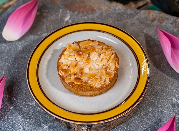 food-dish
